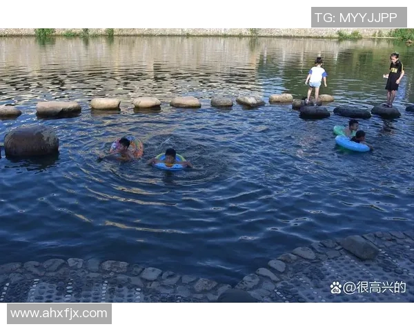 泳池边的清凉世界：打造夏日舒适与健康生活的理想场所